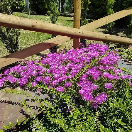 Апартаменты Il Paradiso *
